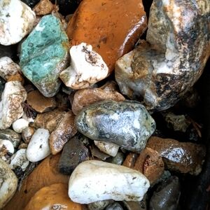 20 Lbs Assorted Natural Stones,Rocks PNW Lifetime Collection